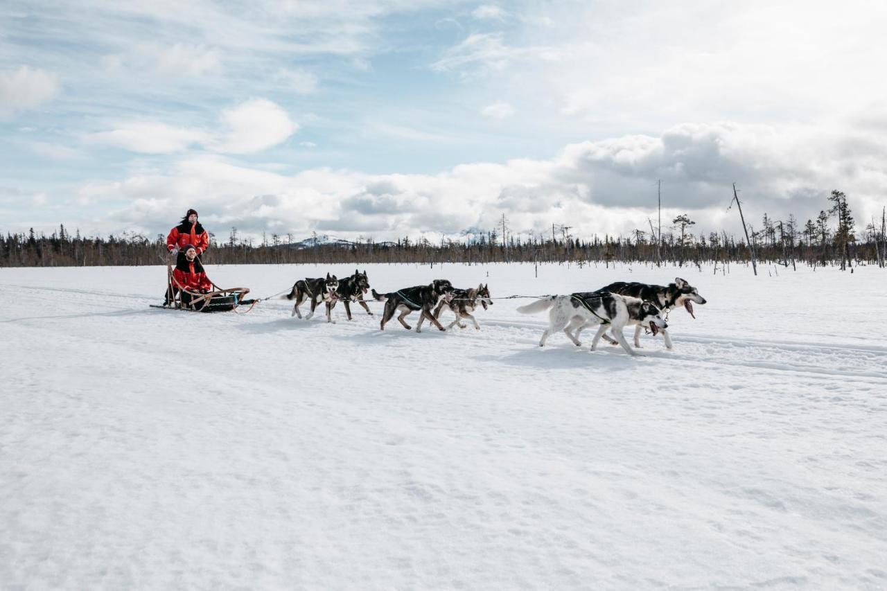 Lapland Hotels Riekonlinna Saariselka Kültér fotó